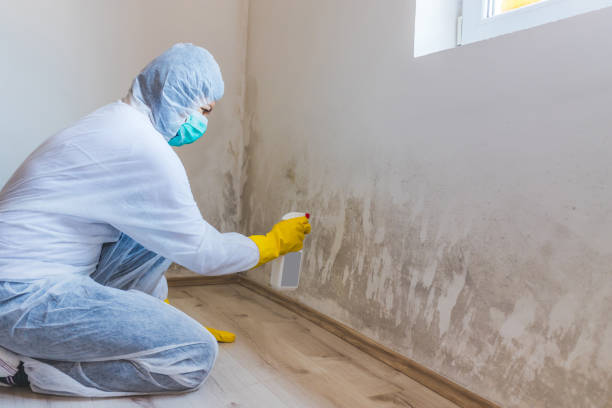 Licensed Crawl Space Mold Removal service in Bellaire, MI - WQB Mold Removal