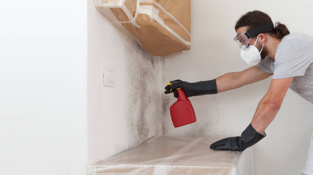 Professional Crawl Space Mold Removal technician working in Bellaire, MI